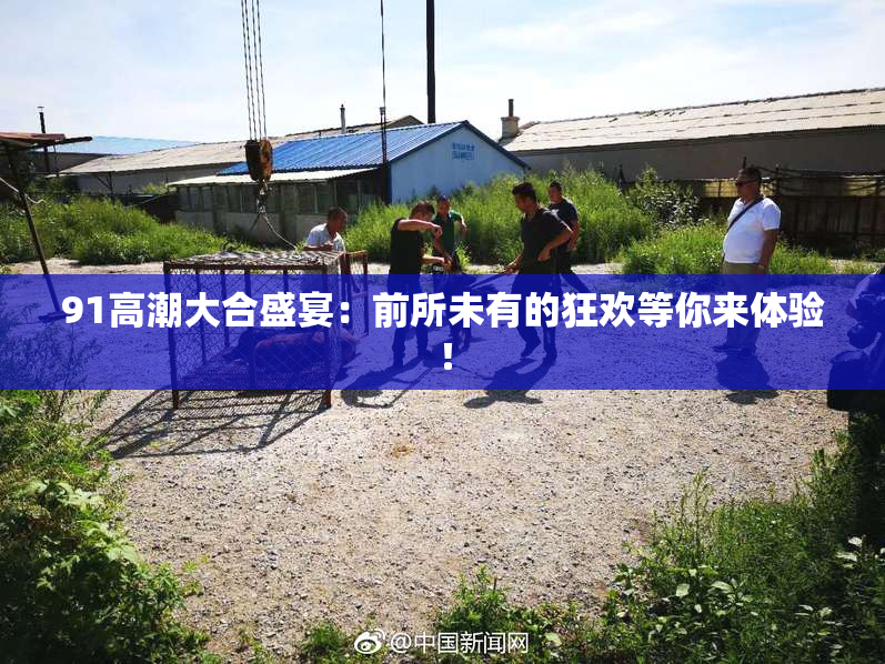91高潮大合盛宴：前所未有的狂欢等你来体验！