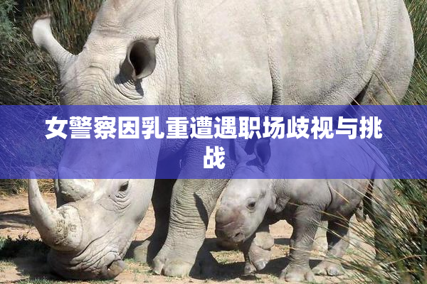 女警察因乳重遭遇职场歧视与挑战