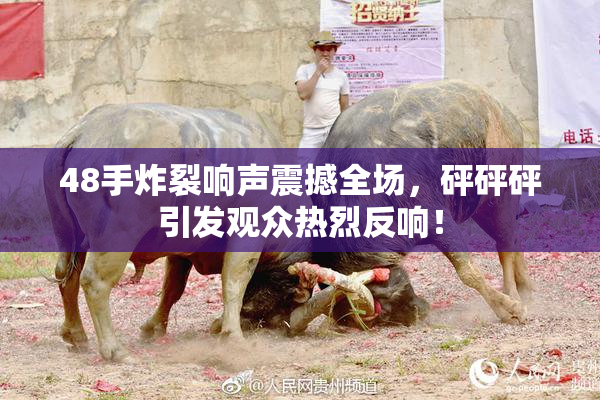 48手炸裂响声震撼全场，砰砰砰引发观众热烈反响！