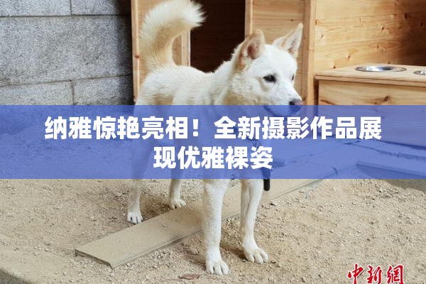 纳雅惊艳亮相！全新摄影作品展现优雅裸姿