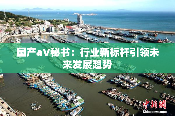 国产aV秘书：行业新标杆引领未来发展趋势