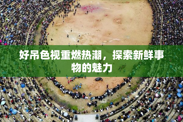好吊色视重燃热潮，探索新鲜事物的魅力