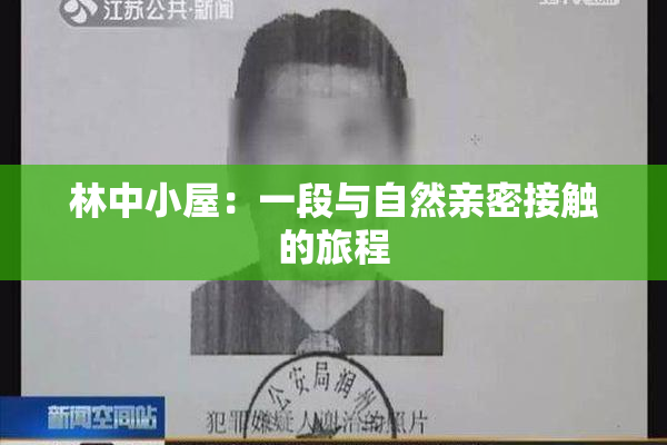林中小屋：一段与自然亲密接触的旅程