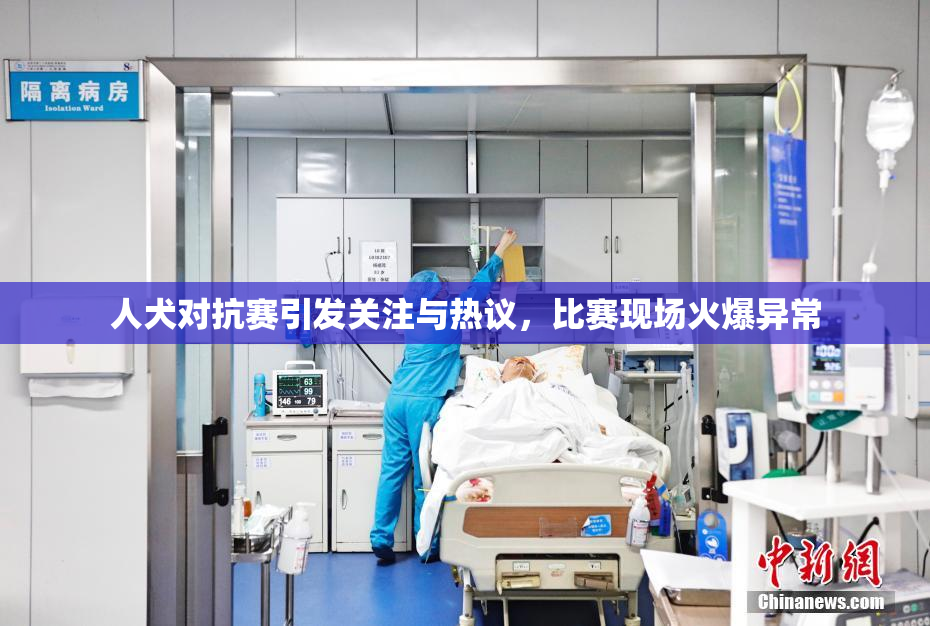 人犬对抗赛引发关注与热议，比赛现场火爆异常