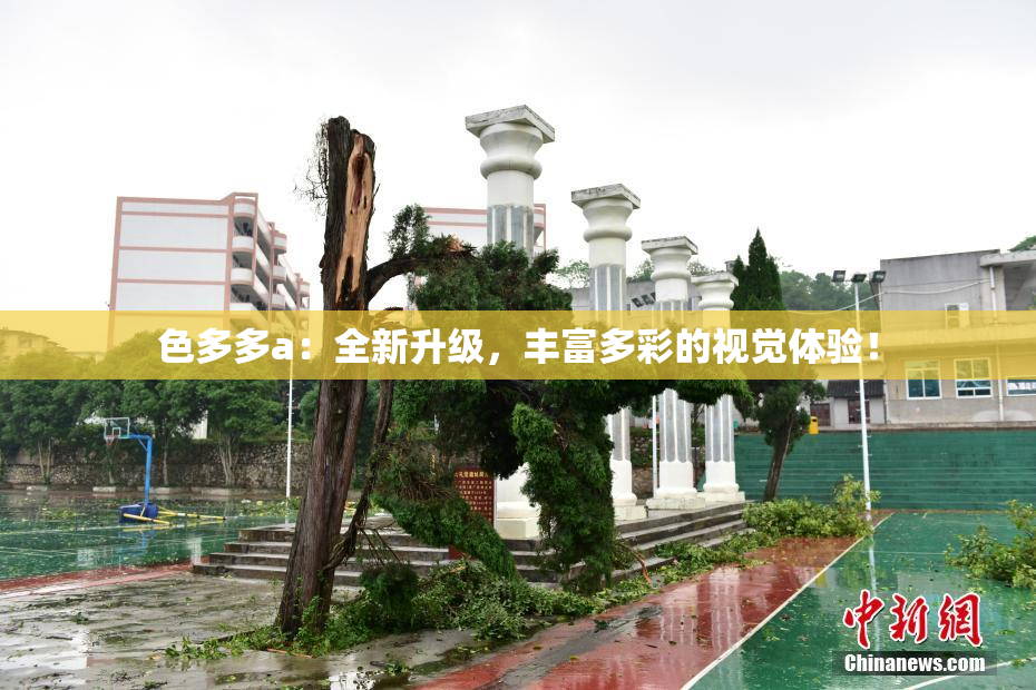 色多多a：全新升级，丰富多彩的视觉体验！
