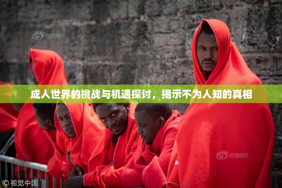 成人世界的挑战与机遇探讨，揭示不为人知的真相
