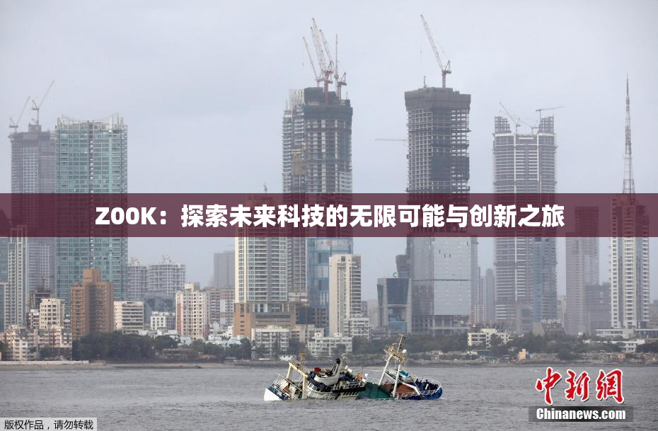 Z00K：探索未来科技的无限可能与创新之旅