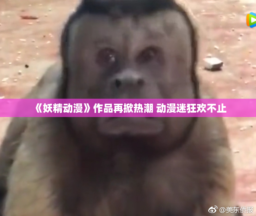 《妖精动漫》作品再掀热潮 动漫迷狂欢不止