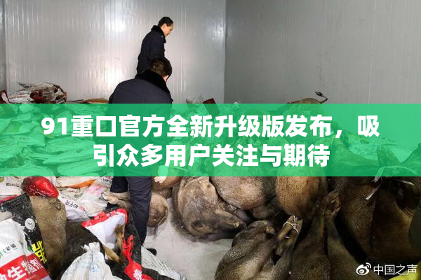91重口官方全新升级版发布，吸引众多用户关注与期待