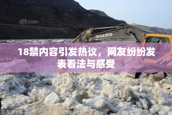 18禁内容引发热议，网友纷纷发表看法与感受