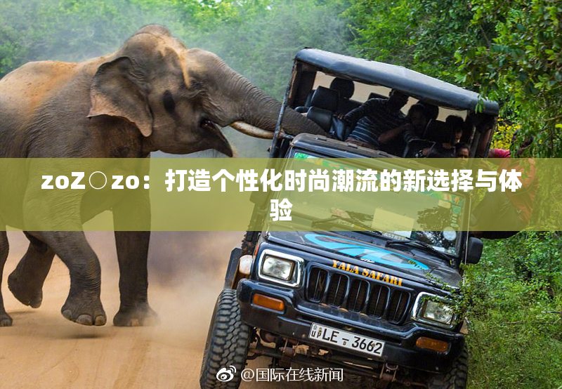 zoZ○zo：打造个性化时尚潮流的新选择与体验