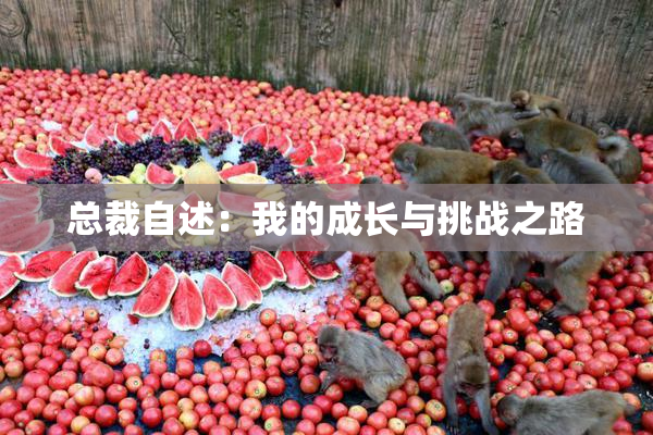 总裁自述：我的成长与挑战之路