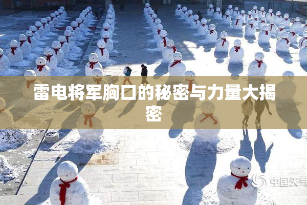 雷电将军胸口的秘密与力量大揭密
