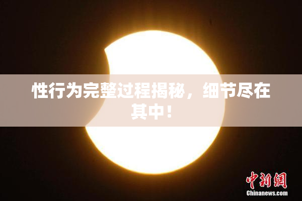 性行为完整过程揭秘，细节尽在其中！