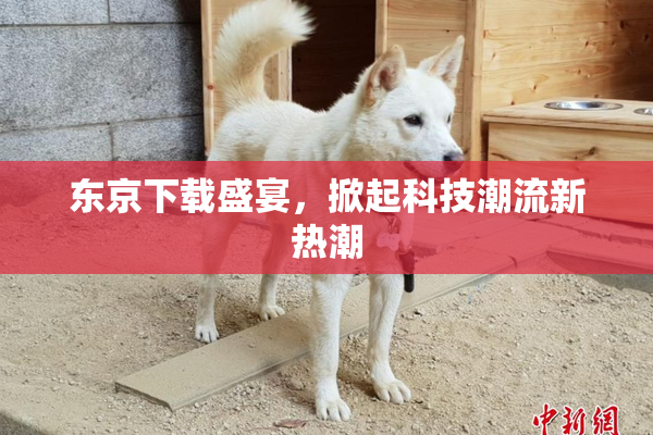 东京下载盛宴，掀起科技潮流新热潮