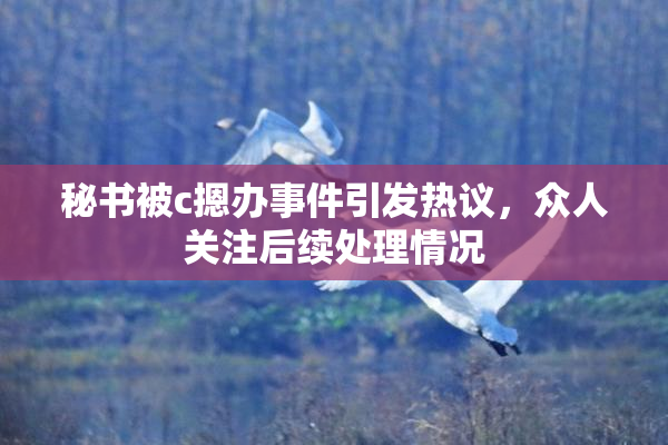 秘书被c摁办事件引发热议，众人关注后续处理情况
