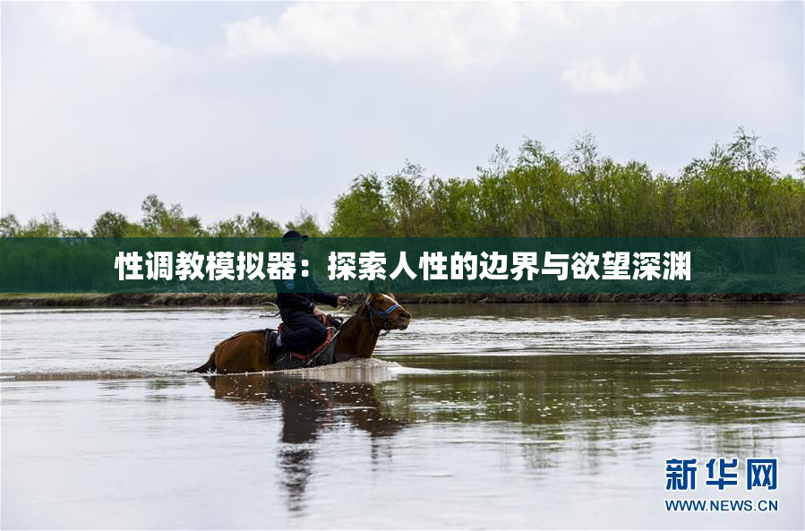 性调教模拟器：探索人性的边界与欲望深渊