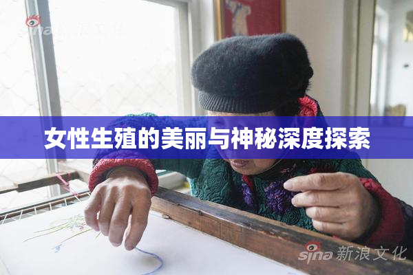 女性生殖的美丽与神秘深度探索