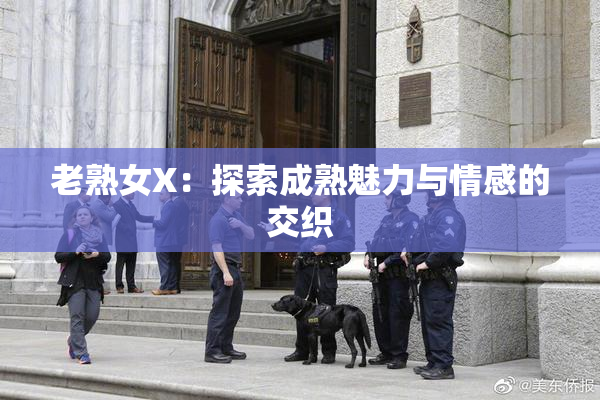 老熟女X：探索成熟魅力与情感的交织