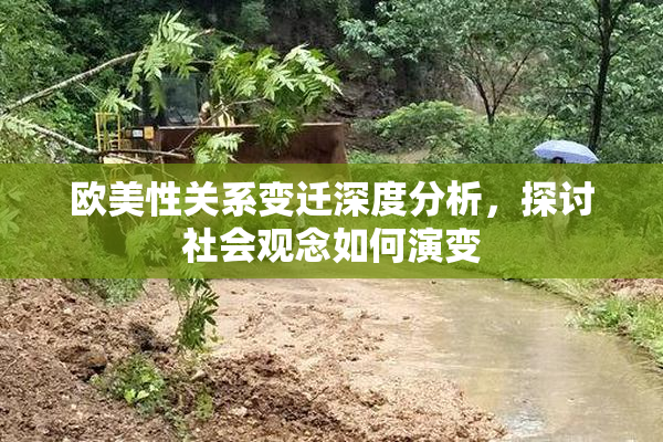 欧美性关系变迁深度分析，探讨社会观念如何演变
