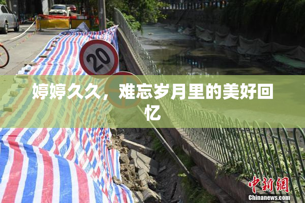 婷婷久久，难忘岁月里的美好回忆