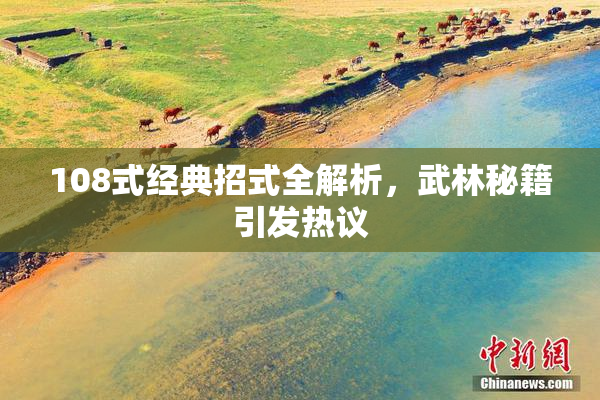 108式经典招式全解析，武林秘籍引发热议