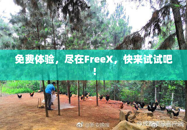 免费体验，尽在FreeX，快来试试吧！