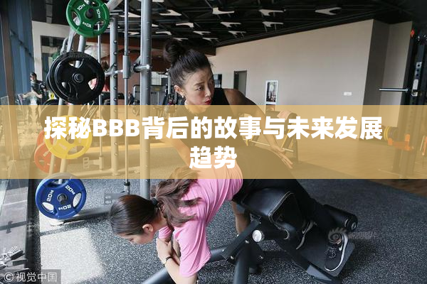 探秘BBB背后的故事与未来发展趋势