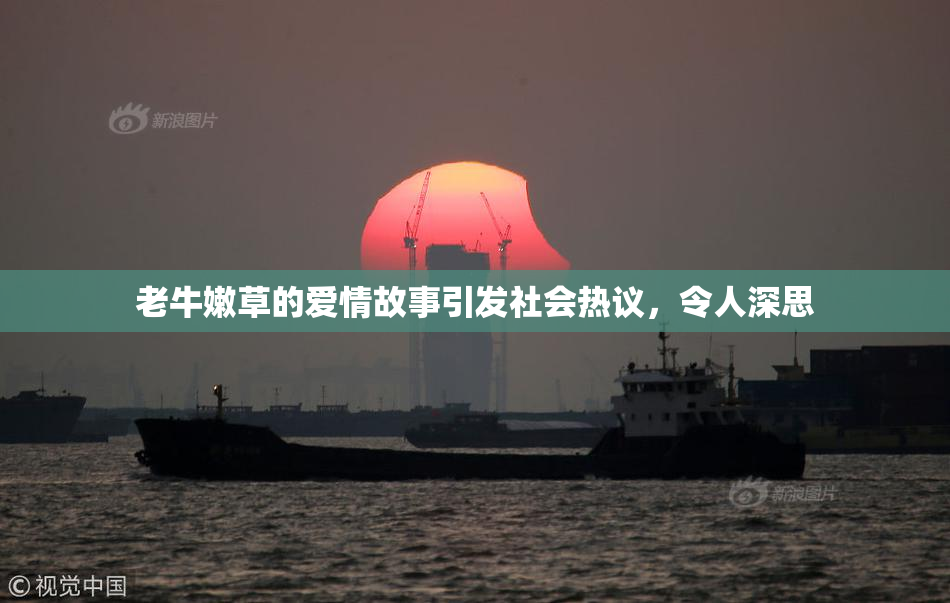 老牛嫩草的爱情故事引发社会热议，令人深思