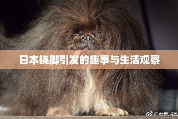 日本挠脚引发的趣事与生活观察