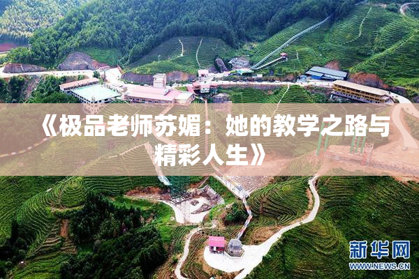 《极品老师苏媚：她的教学之路与精彩人生》