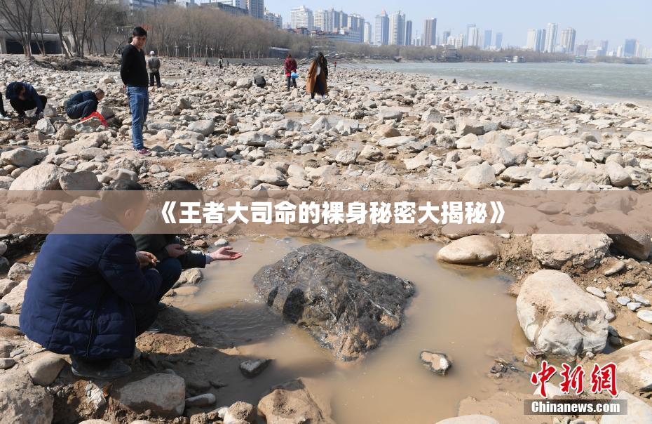 《王者大司命的裸身秘密大揭秘》