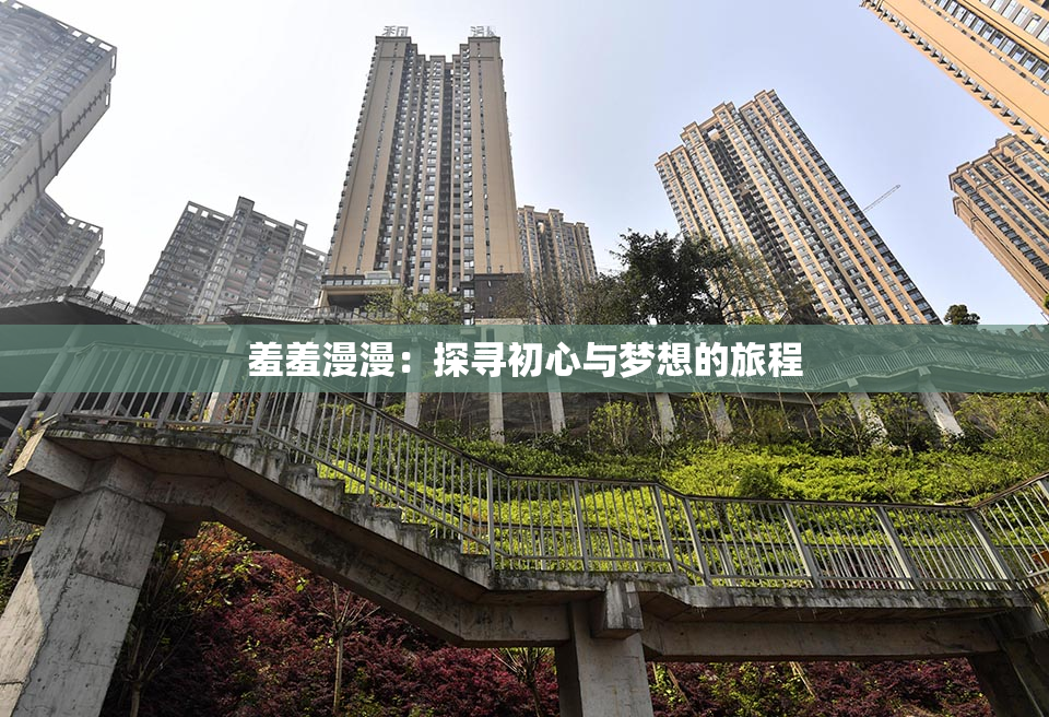 羞羞漫漫：探寻初心与梦想的旅程