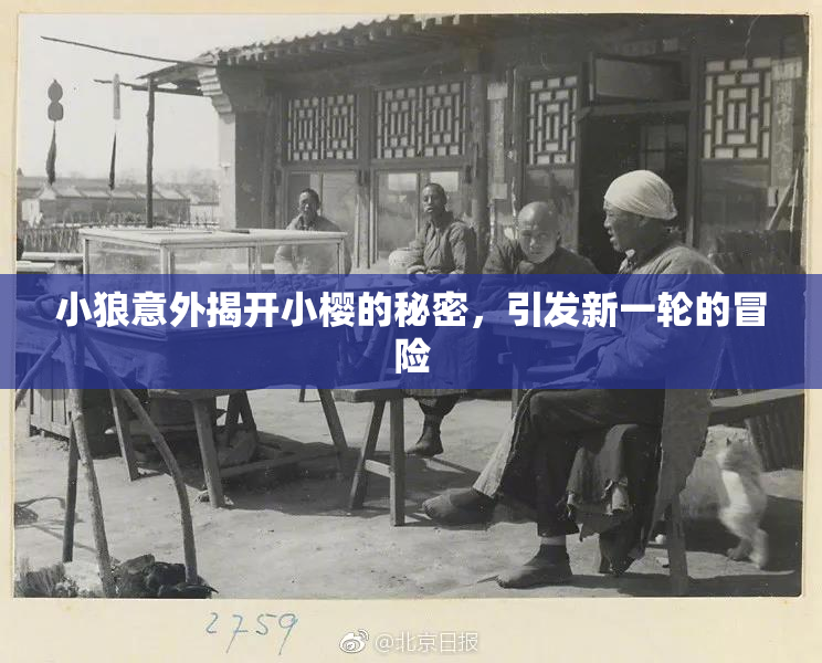 小狼意外揭开小樱的秘密，引发新一轮的冒险