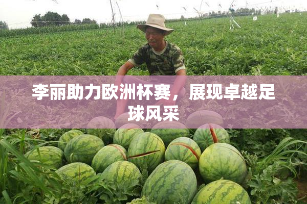 李丽助力欧洲杯赛，展现卓越足球风采