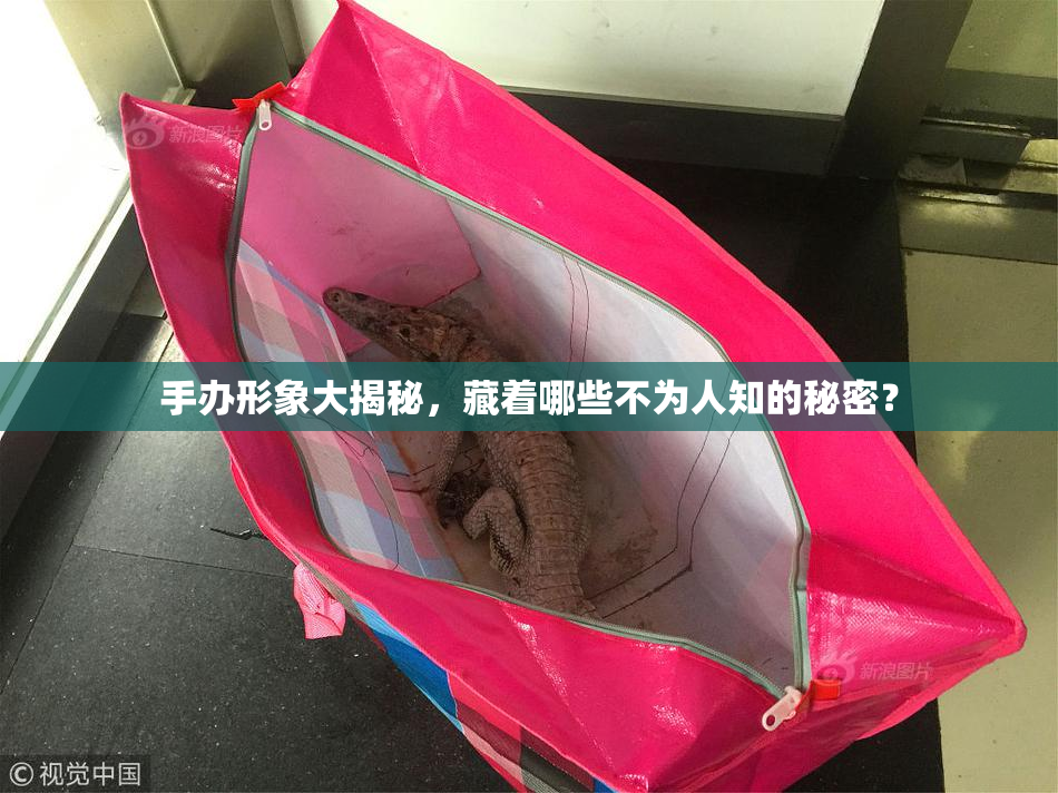 手办形象大揭秘，藏着哪些不为人知的秘密？