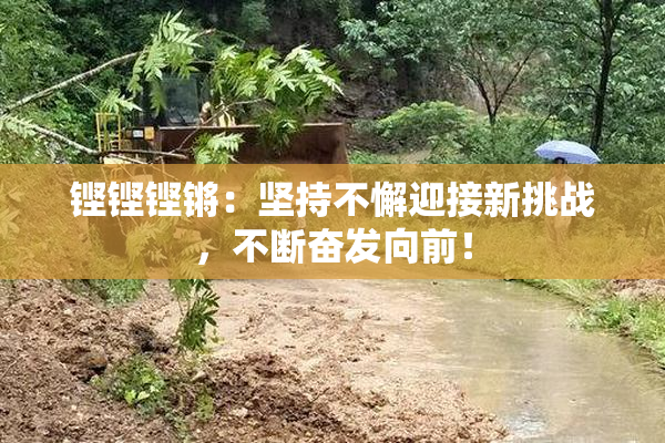 铿铿铿锵：坚持不懈迎接新挑战，不断奋发向前！