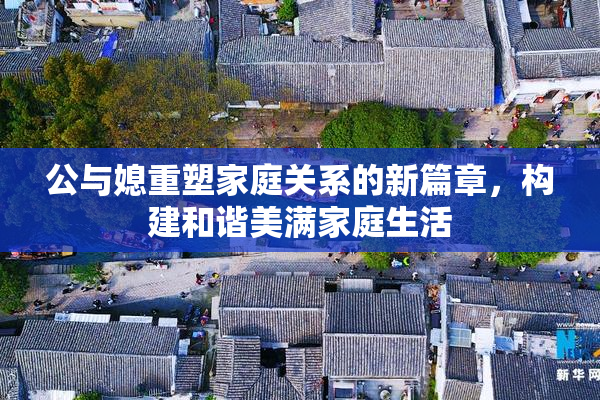 公与媳重塑家庭关系的新篇章，构建和谐美满家庭生活