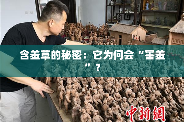 含羞草的秘密：它为何会“害羞”？