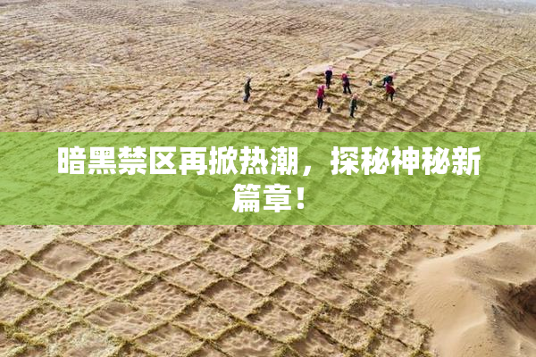 暗黑禁区再掀热潮，探秘神秘新篇章！