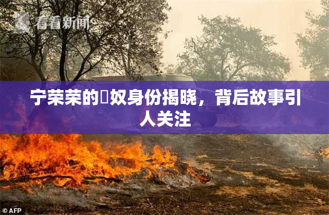 宁荣荣的婬奴身份揭晓，背后故事引人关注