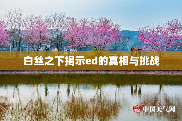 白丝之下揭示ed的真相与挑战