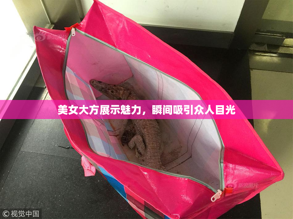 美女大方展示魅力，瞬间吸引众人目光