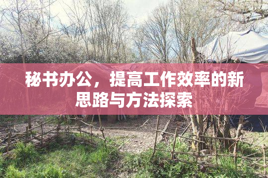 秘书办公，提高工作效率的新思路与方法探索