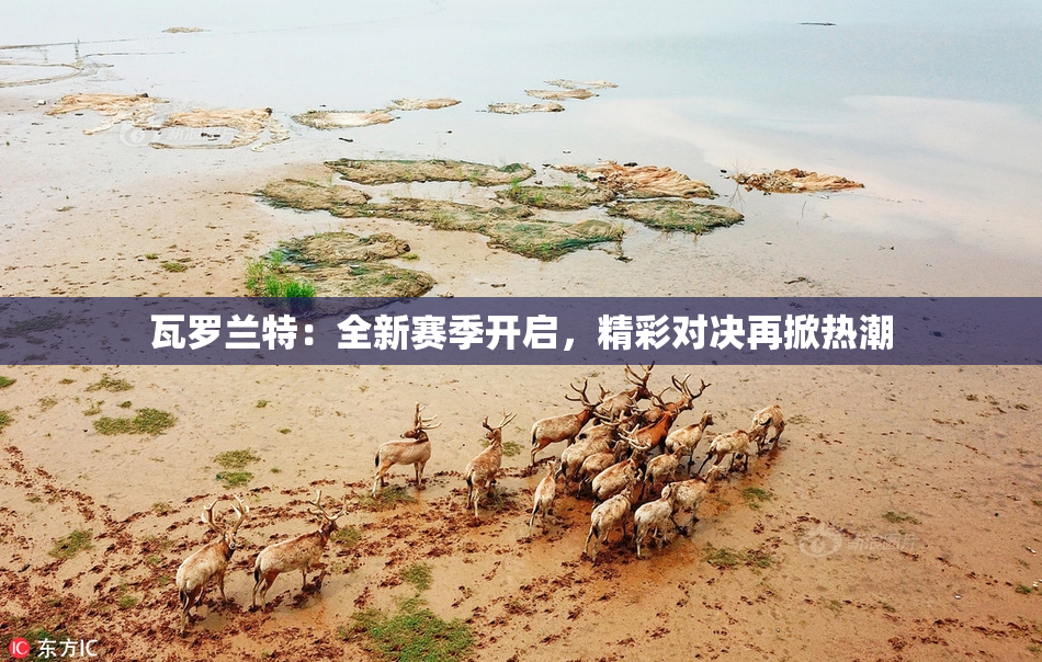 瓦罗兰特：全新赛季开启，精彩对决再掀热潮