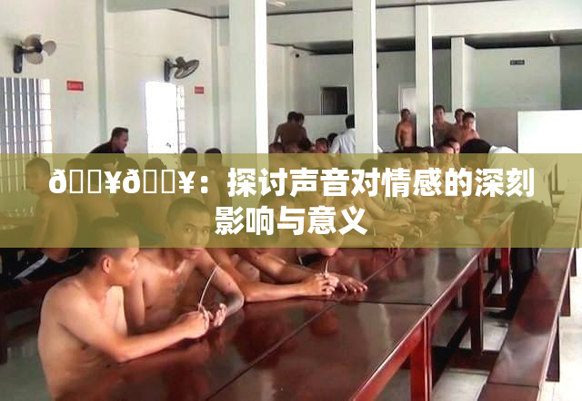 🔥🔥：探讨声音对情感的深刻影响与意义