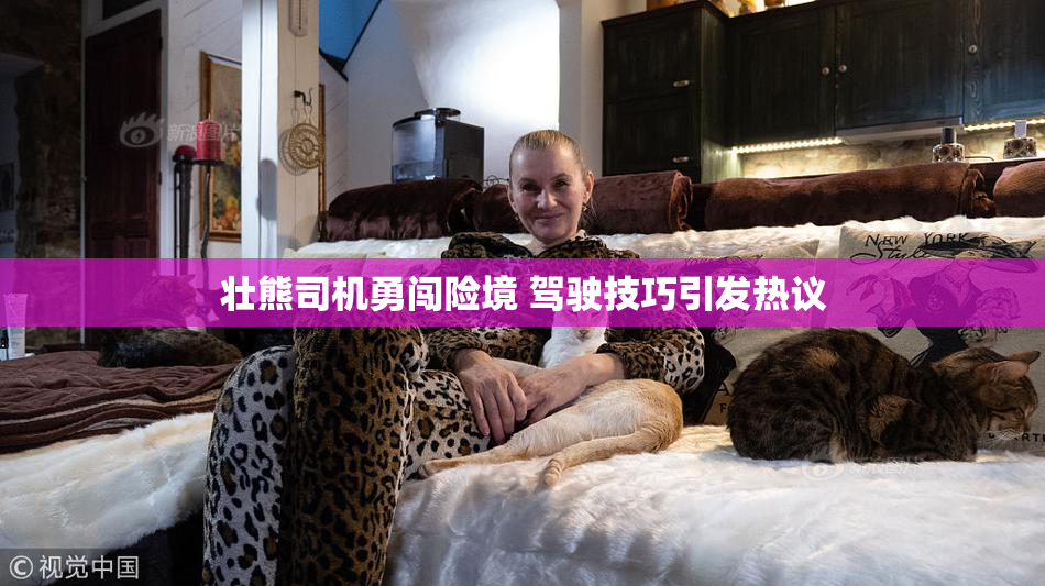 壮熊司机勇闯险境 驾驶技巧引发热议