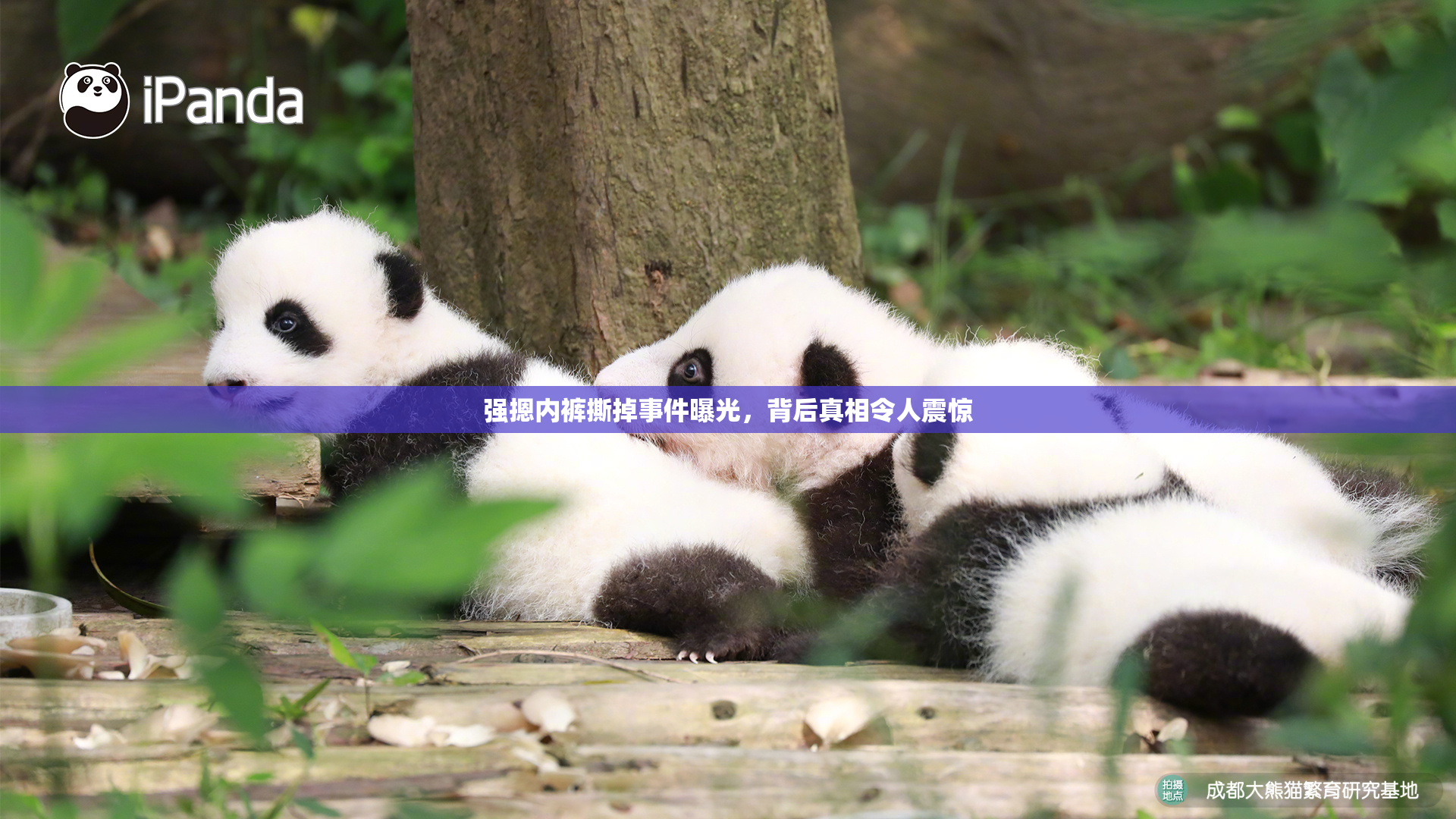 强摁内裤撕掉事件曝光，背后真相令人震惊