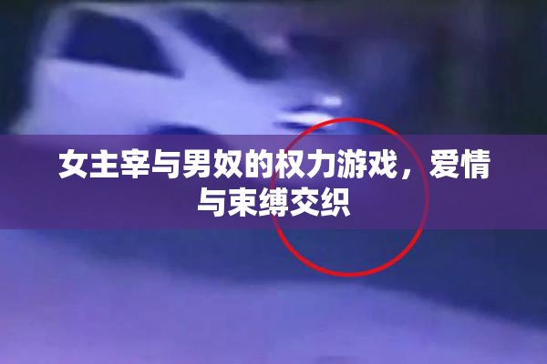 女主宰与男奴的权力游戏，爱情与束缚交织