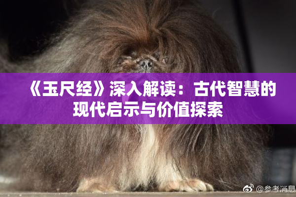 《玉尺经》深入解读：古代智慧的现代启示与价值探索